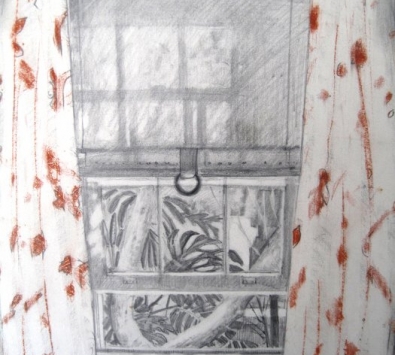 Red and White Curtains