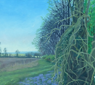 Ruscombe Wood an allegory for Youth Maturity Old Age