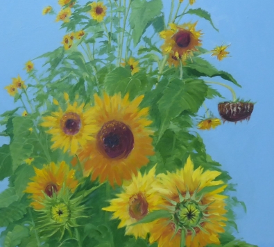 Sunflowers - Birth Life Death