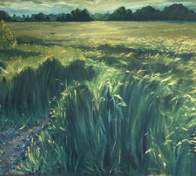 Wheatfield near Grazeley, Berkshire