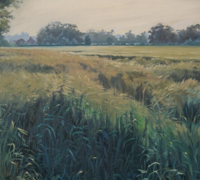 Wheatfield near Shiplake, Oxfordshire