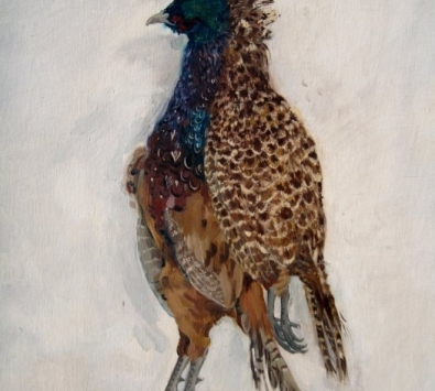 Pheasants