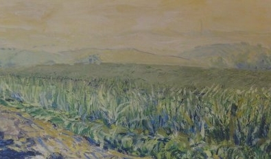 Cornfield near Checkendon, Oxfordshire