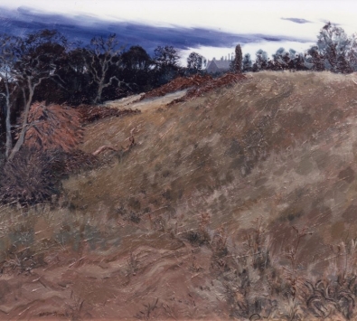 Bluecoat School from Sonning Meadows